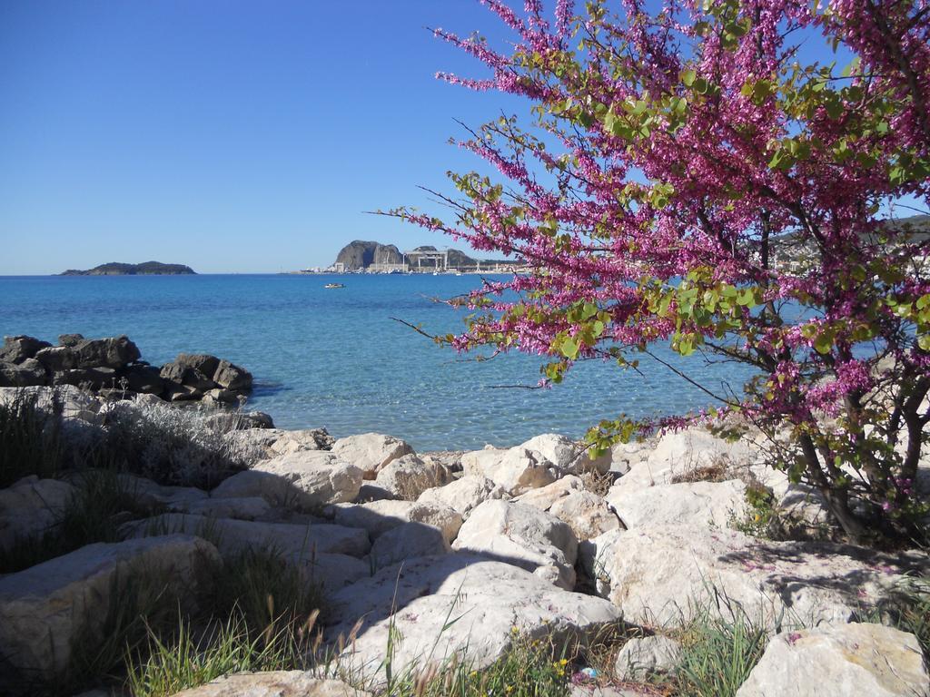 Studio Le Peneque Des Anges La Ciotat Exteriér fotografie