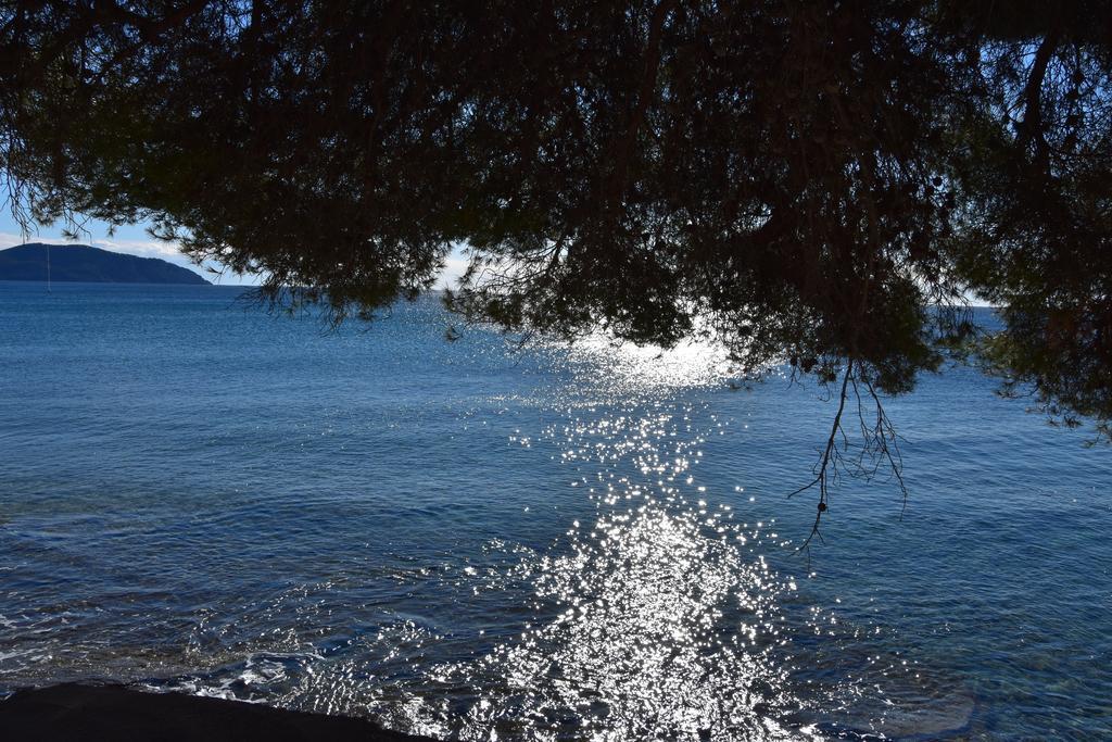 Studio Le Peneque Des Anges La Ciotat Exteriér fotografie